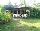 House for Rent in Kuliyapitiya